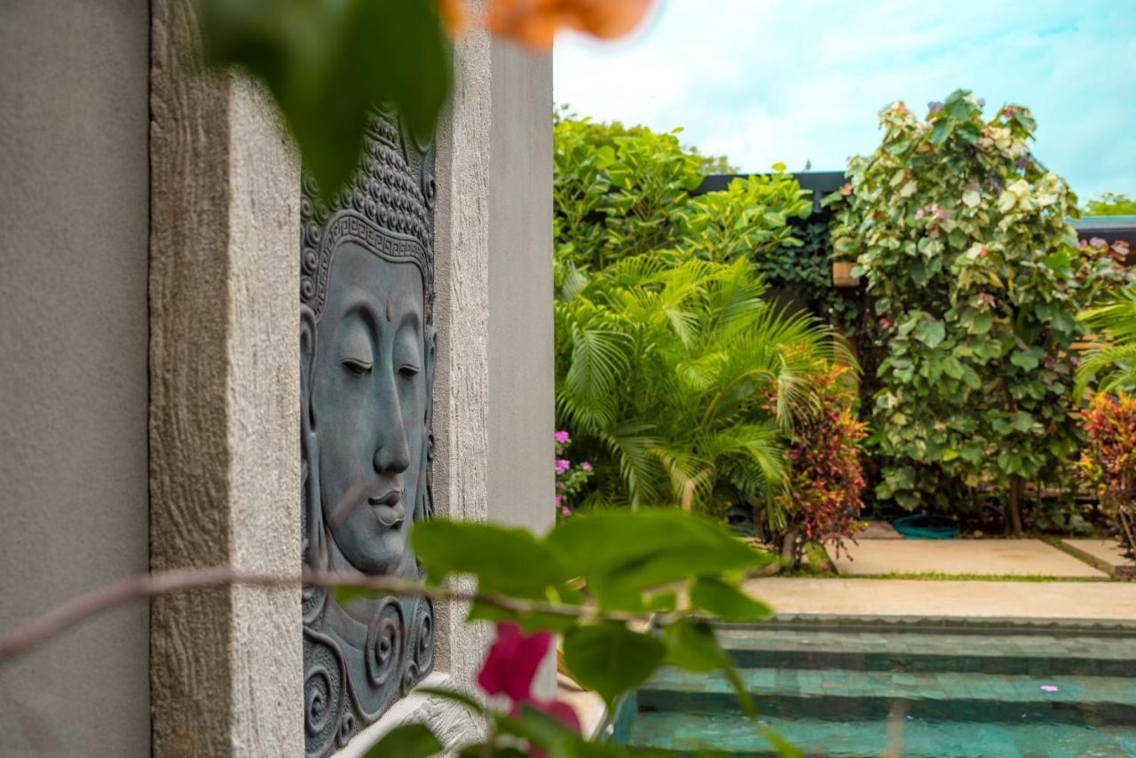 فندق Zen Garden Tamarindo - Adults Only المظهر الخارجي الصورة